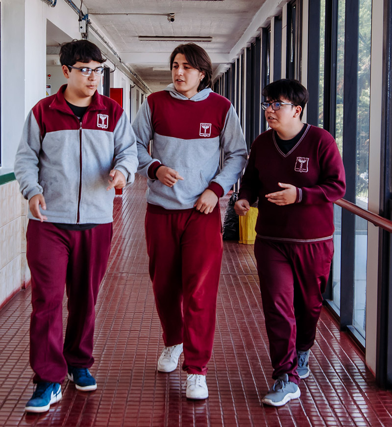 liceo bicentenario de excelencia insuco chillan comeduc